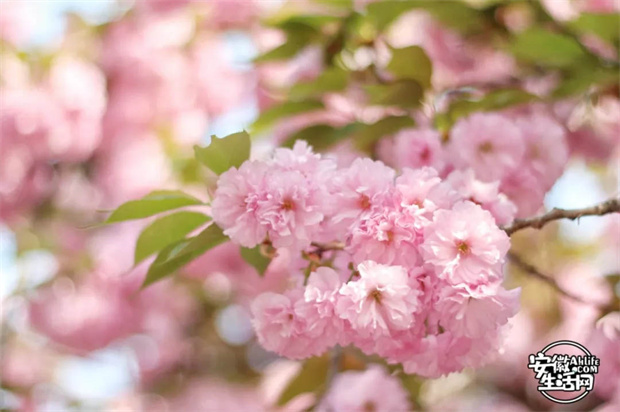 yh533388银河(中国)股份有限公司-官方网站