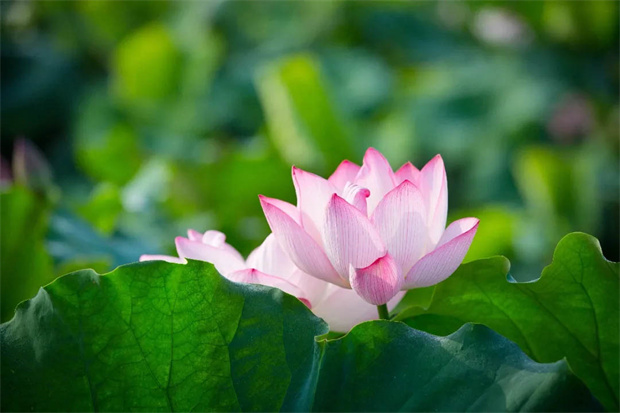 yh533388银河(中国)股份有限公司-官方网站