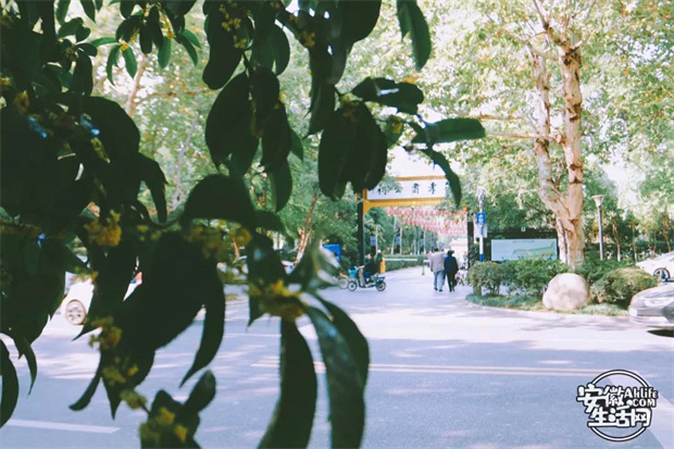 yh533388银河(中国)股份有限公司-官方网站