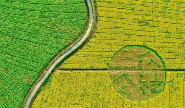 yh533388银河(中国)股份有限公司-官方网站