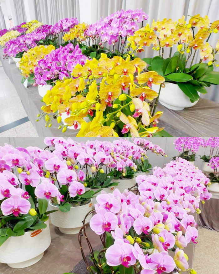 yh533388银河(中国)股份有限公司-官方网站